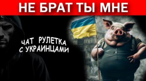 Не брат ты мне, гн!да бандеровская. Вы ещё за Одессу ответите!!! Чат рулетка с украинцами.
