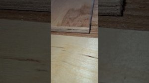 1000066678.mp4 (Собака слушает о распиловке с/пилой, технологии укладки л/фанеры в доме А-фрейм)