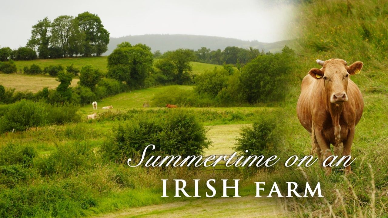 Ireland - Life On A Farm | July In The Cottage Garden