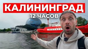 Полдня в Калининград. Пересадка. 2026
