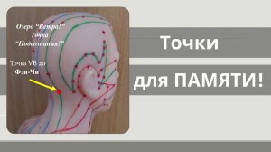 Точки тела, улучшающие память человека 05