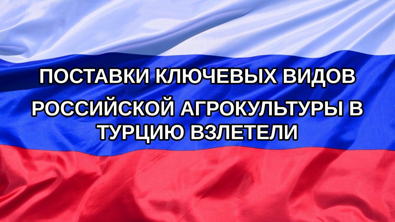 |Н. РФ| Поставки ключевых видов российской агрокультуры в Турцию взлетели