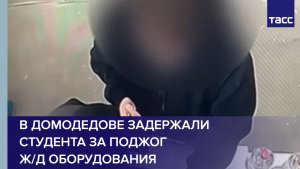 В Домодедове задержали студента за поджог ж/д оборудования
