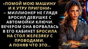 Истории из жизни|Помой мою ласточку|Аудио рассказы|Аудиокниги слушать онлайн|Жизненные истории