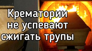 Крематории переполнены. Печи не успевают сжигать трупы. Цена поддержки режима Зеленского на Украине