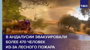 В Андалусии эвакуировали более 470 человек из-за лесного пожара