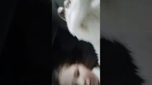 Готовимся к сходке!?👍 🫪