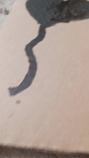 ??