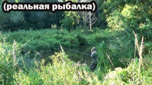 Рыбалка 9 августа на поплавок в проводку с ПРИКОРМОМ на малой реке! Реальная рыбалка как есть..