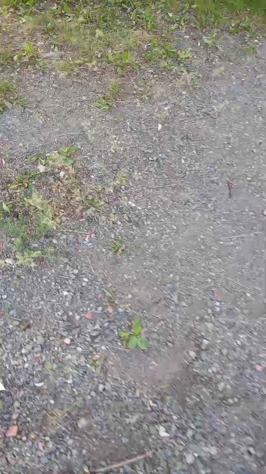 Jbbobiv