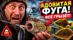 Фуга уничтожает снасти! Почему рыбалка превратилась в настоящий хаос?!