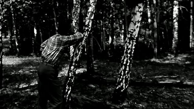 1977 год. Тюменская область. Скульптор-прикладник