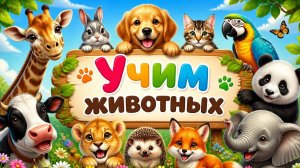 Учим животных