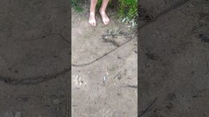 обзор речки✨✨✨