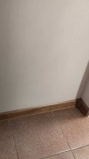 арратавтр