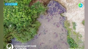 УЗНАТЬ ЗА 60 СЕКУНД. НОВОСТИ КАМЧАТКИ 10.08.26
