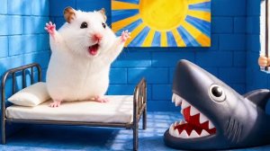 Побег хомячка из лабиринта 😍 Милый Пушистик