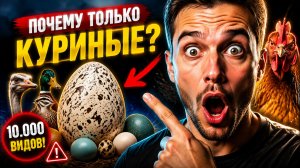 Почему мы едим только куриные яйца? Ответ удивит вас на 100%