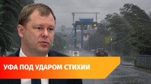 Принцип ванны и больные деревья. Власти о последствиях ливня и порывов ветра в Башкирии