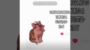 видео в честь человека который от меня отписался❤❤❤