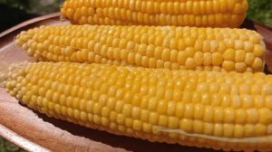 Молодая варёная кукуруза 🌽☀️