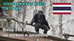 Зоопарк Кхао Кхео в Паттайе – цены от 350 бат, обзор и стоит ли ехать?
