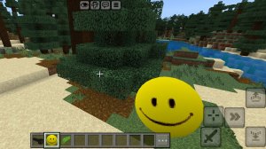 играю в майн с верити стрим