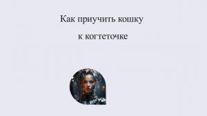 Как приучить кошку к когтеточке? Рекомендации экспертов