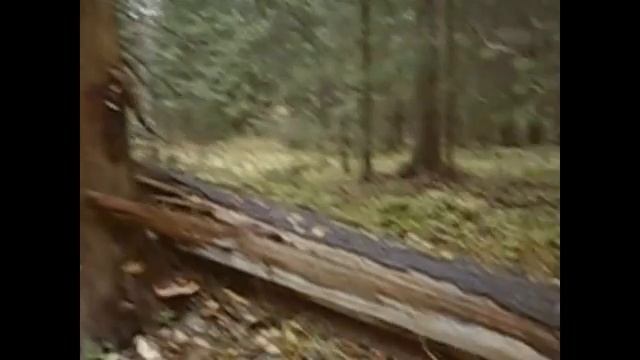 Деревенский блокнот все серии с 128 по 148