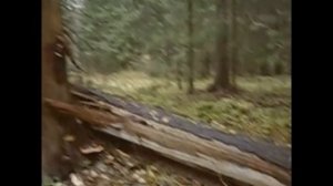 Деревенский блокнот все серии с 128 по 148