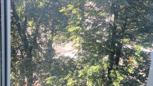 72) ИРИНА АЛЛЕГРОВА « БАБЫ -СТЕРВЫ» на синтезаторе Ямаха 710. 10.08.26 г.