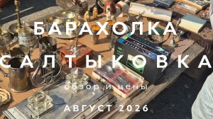 БАРАХОЛКА САЛТЫКОВКА В БАЛАШИХЕ | ОБЗОР И ЦЕНЫ | АВГУСТ 2026