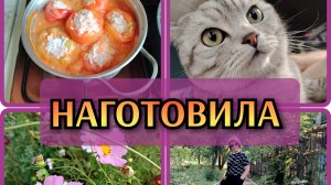 10-08-2026 Сегодня работаю поваром🧑🍳 Вечерняя прогулка 👍 Комментарии ❤️