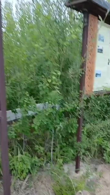 ЕДЕМ В СЕЛО 