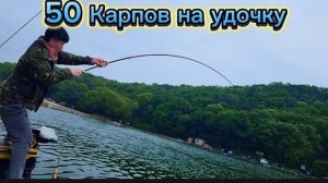 Карп клюёт один за другим. Удочка трещит, еле выдерживает. #fishing #рыбалка #