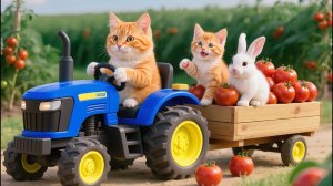 Мама-кошка продает свежие помидоры, чтобы угостить котенка вкусной жареной курицей 🍅🍗🐱