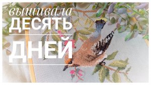 Продвижения за 10 дней августа | Вышивка крестом