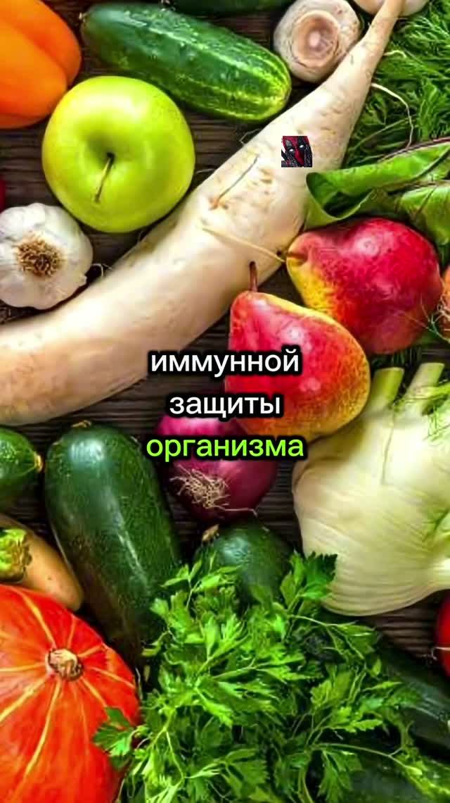 Вот что будет, если не есть овощи!¿?! 😼🫶😎