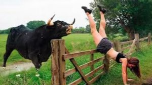 🚨ЛУЧШИЕ ФЕЙЛЫ ИЗ СЕЛЬСКОЙ ЖИЗНИ🚜🐄