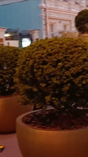 Прогулка по Старому Арбату Красота