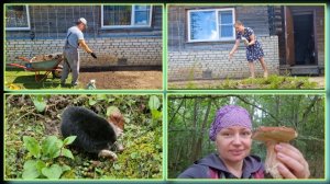 Ровняем газон в палисаде. Почему обращаюсь к мужу по ИО. Съездили в лес за белыми