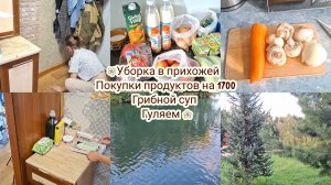 УБОРКА ПРИХОЖЕЙ, ПОКУПКИ ПРОДУКТОВ,  ГУЛЯЕМ В ПАРКЕ
