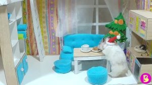 ХОМЯКИ играют В ПРЯТКИ в доме для кукол. Hamsters play hide and seek