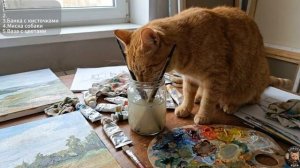 🐈 ТОП-5 мест, откуда кошки ОБОЖАЮТ пить! 😹 №1 вас точно удивит _ Подкаст котов
