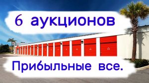 6 аукционов. Все прибыльные.