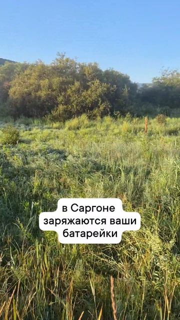 подзарядка в саргоне