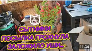 САМВЕЛ АДАМЯН, СЫТНИКИ, ПОСЫЛКА ГРОХНУЛА, АЖ УШИ ЗАЛОЖИЛО..