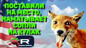 Поставили на место /Наматывает сопли на кулак /Лиса в Америке Обзор /Funny 4