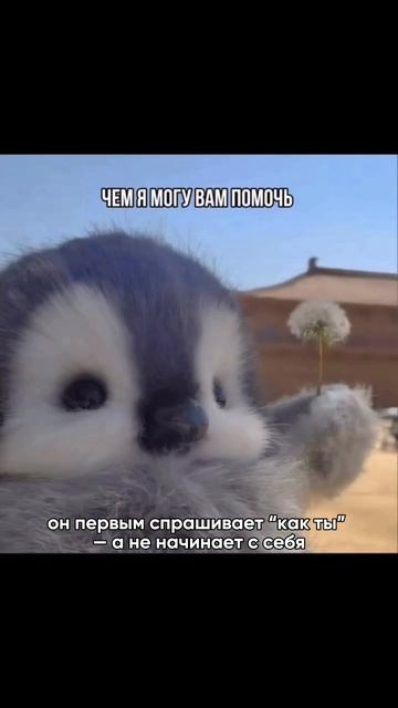Как понять, что человек знает цену боли