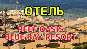 ЕГИПЕТ 🇪🇬 ШАРМ ЭЛЬ ШЕЙХ 🌴 Мой ОТЗЫВ об ОТЕЛЕ 🌴 чемодан 🧳 автобус 🚌 аэропорт ✈️